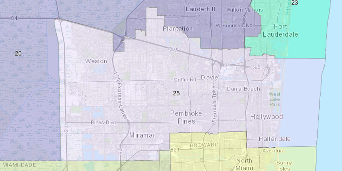 An image of Florida’s 2022 congressional map